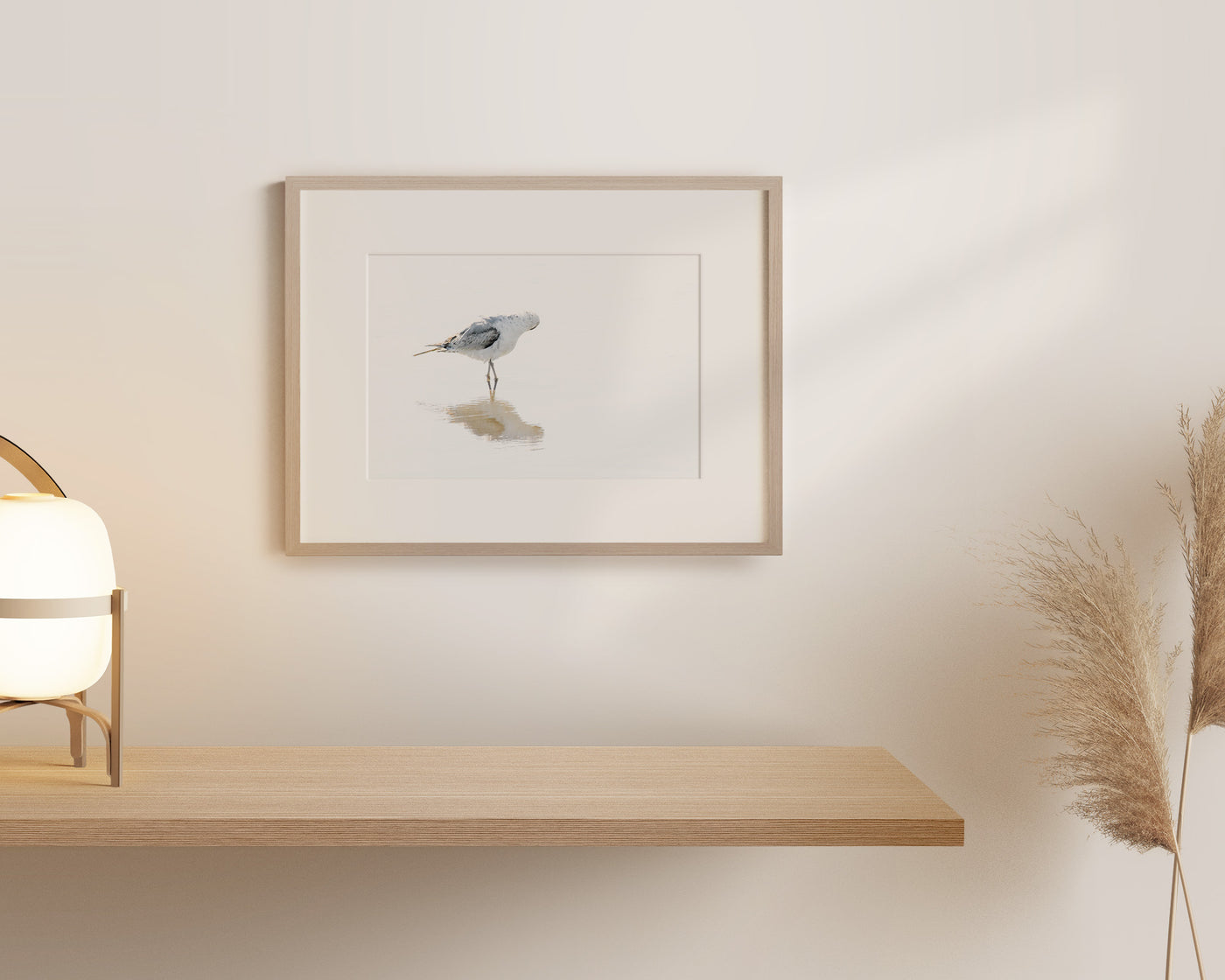 Seagull fine art print by Cattie Coyle Photography
