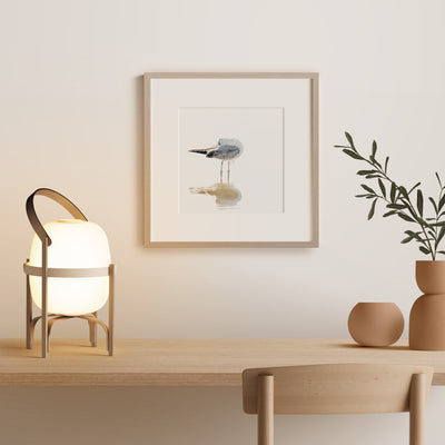 Seagull - Fine art print by Cattie Coyle Photography