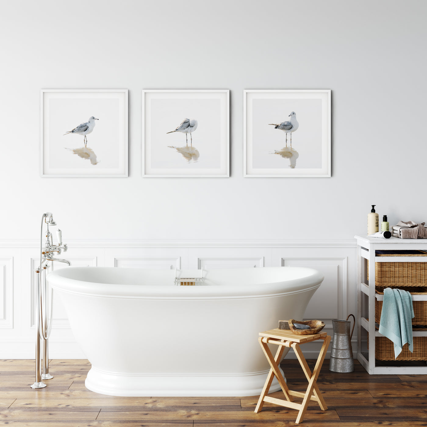 Seagulls - Set of 3 fine art prints by Cattie Coyle Photography