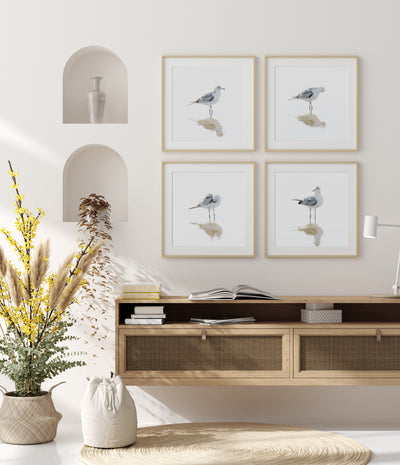 Seagulls - Set of 4 art prints by Cattie Coyle Photography