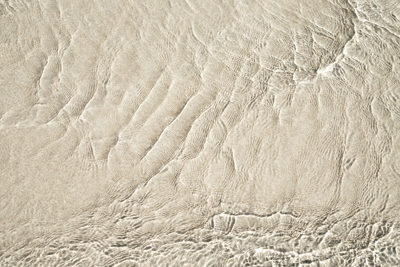 Shallow Water - Fine art print by Cattie Coyle Photography