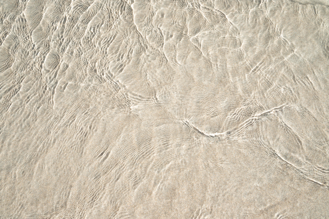 Shallow Water - Fine art print by Cattie Coyle Photography