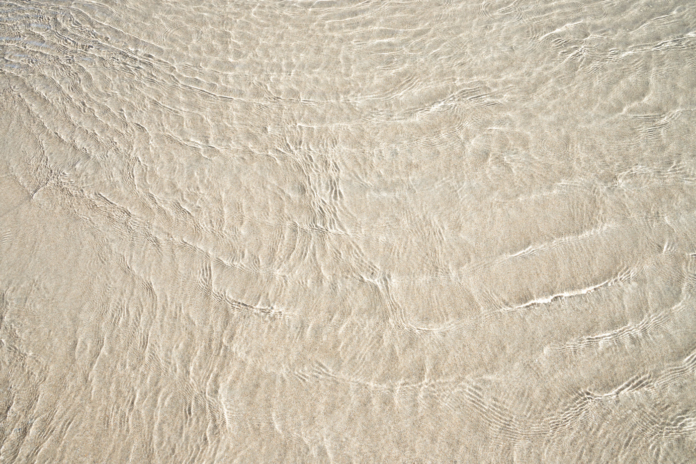 Shallow Water - Fine art print by Cattie Coyle Photography