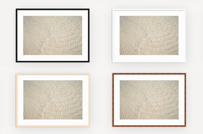 Shallow Water – Framed fine art prints by Cattie Coyle Photography