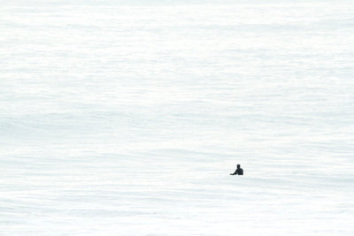 Surfer art print by Cattie Coyle Photography