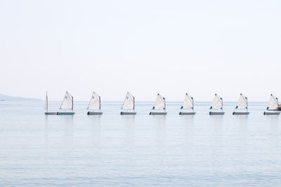 Sailboats art print by Cattie Coyle Photography