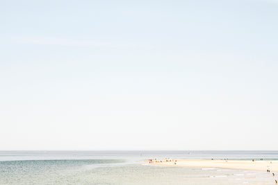 The Sandbar - Beach fine art print by Cattie Coyle Photography
