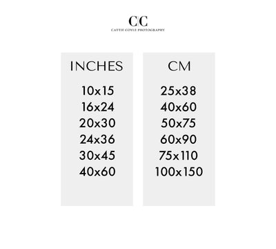 Art print sizes - Inches to cm conversion chart | Cattie Coyle Photography